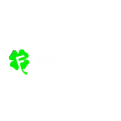 Logo Fortunica sister sites